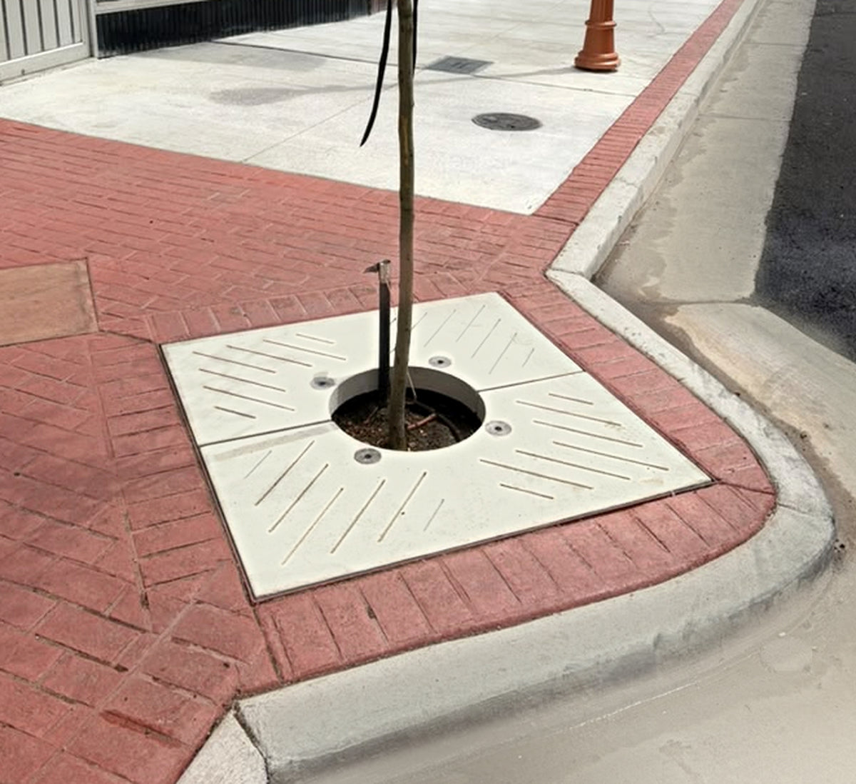 pure-design-werx-concrete-tree-grate-sidewalk-installation