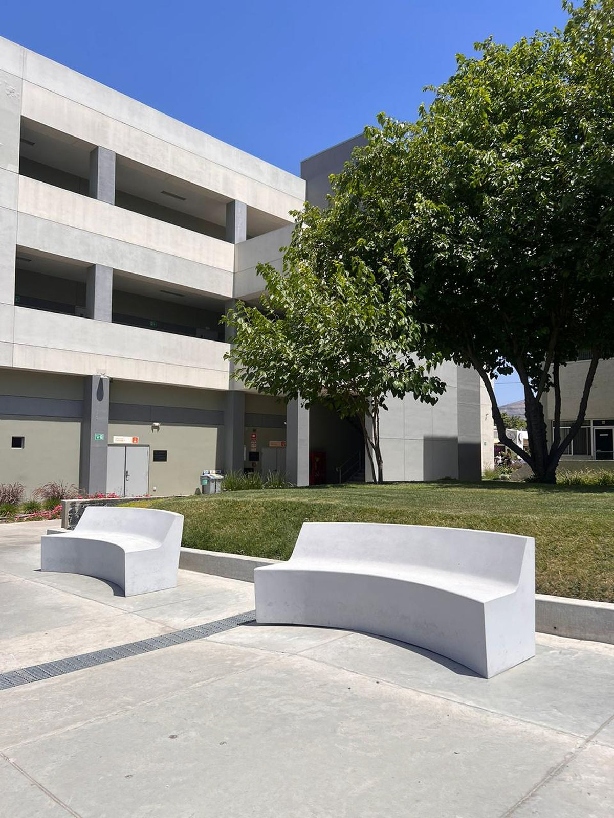 pure-design-werx-curved-concrete-benches-courtyard